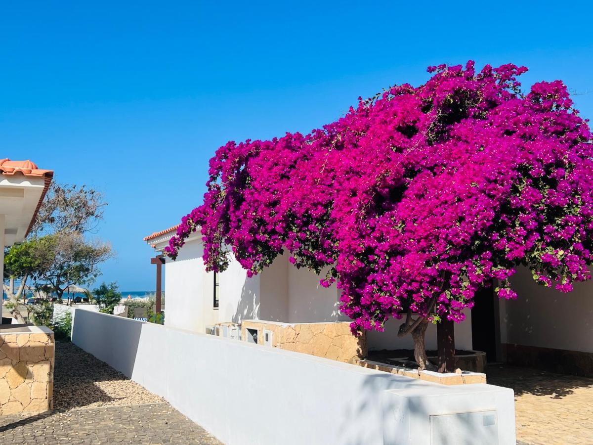 Villa With Privat Pool Near Beach Santa Maria Sal Kap Verde Exterior foto