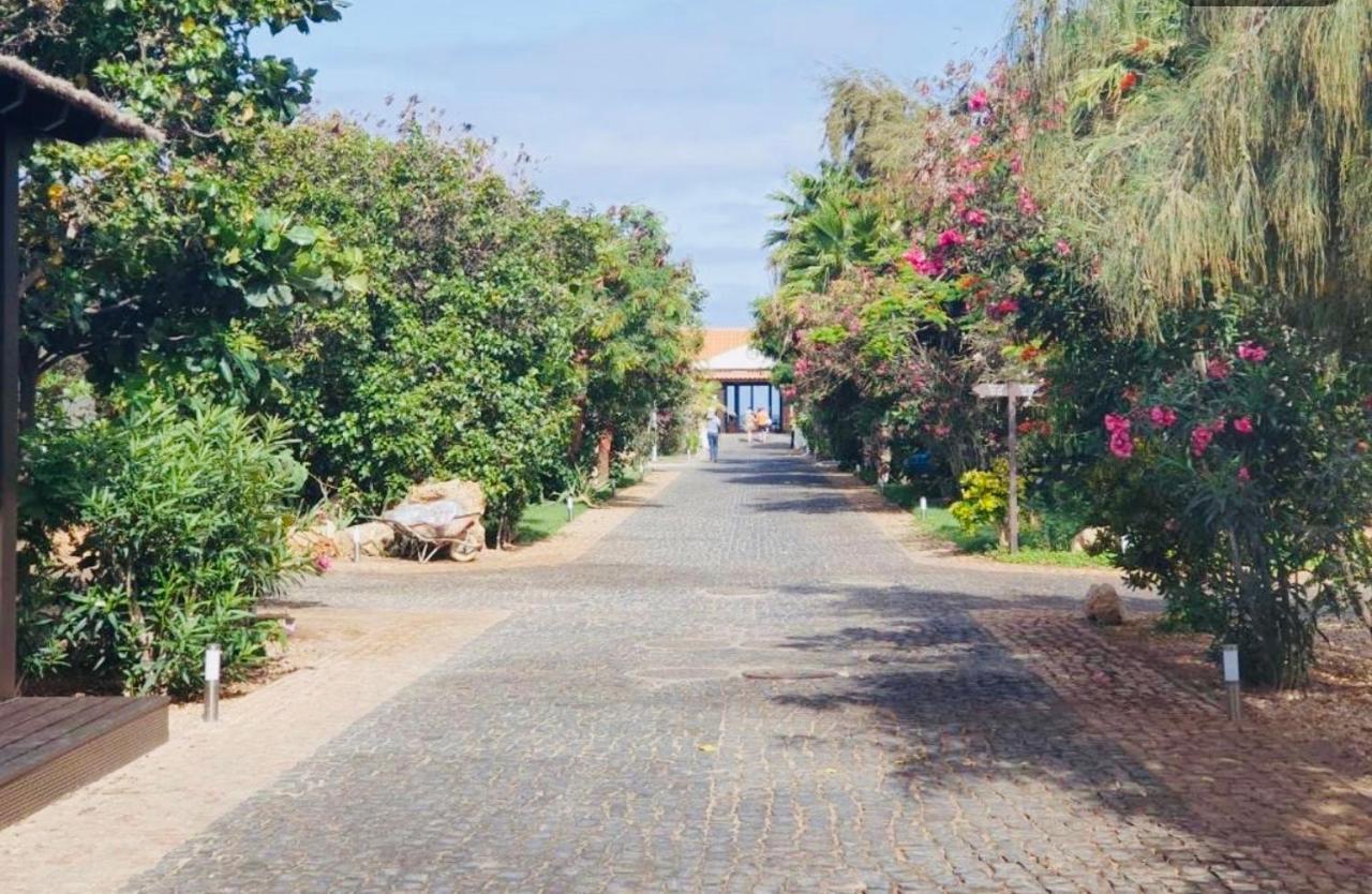 Villa With Privat Pool Near Beach Santa Maria Sal Kap Verde Exterior foto