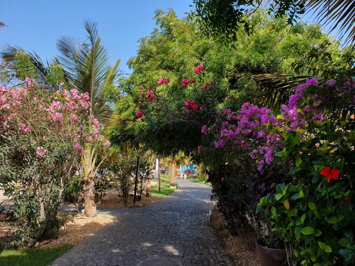 Villa With Privat Pool Near Beach Santa Maria Sal Kap Verde Exterior foto